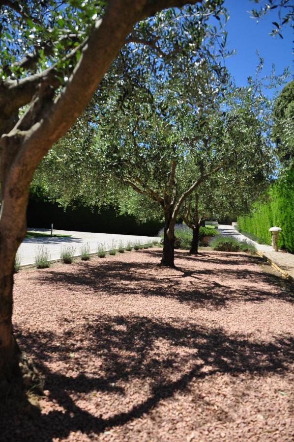 Le Jardin des Amandiers Châteaurenard Exterior foto
